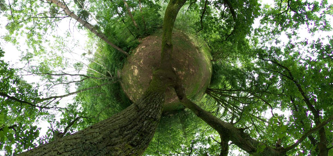 bruno gauthier cahokia's secret #2 sleeve/photo 1